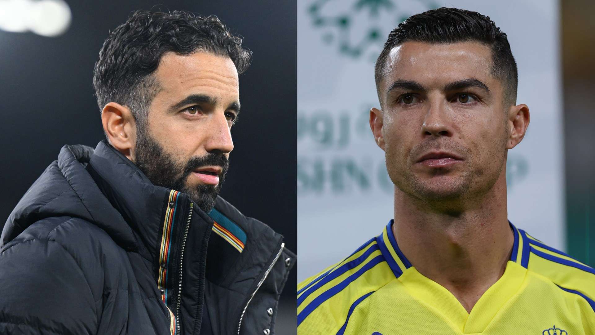 努力寻找到 努力寻找到